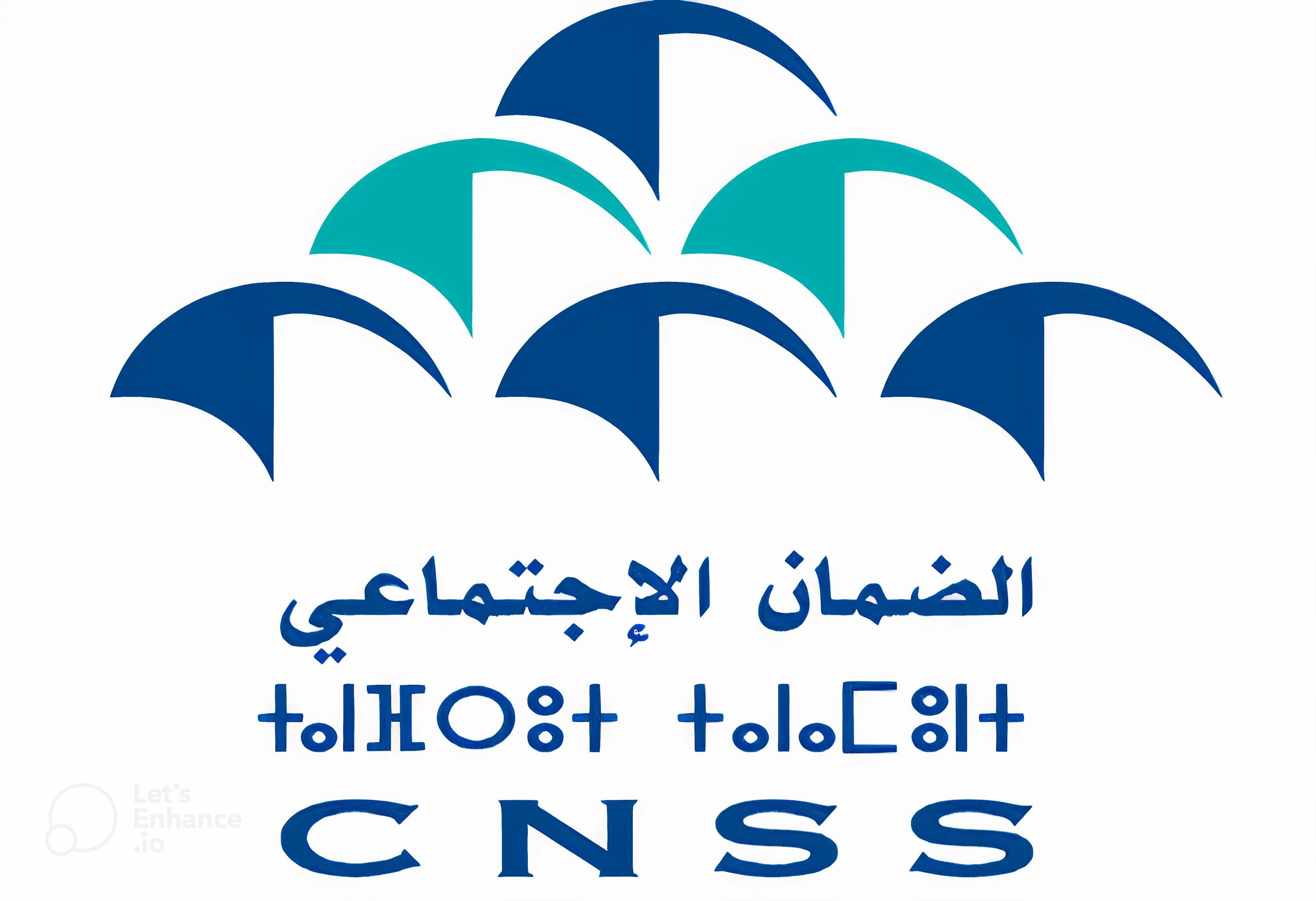 CNSS